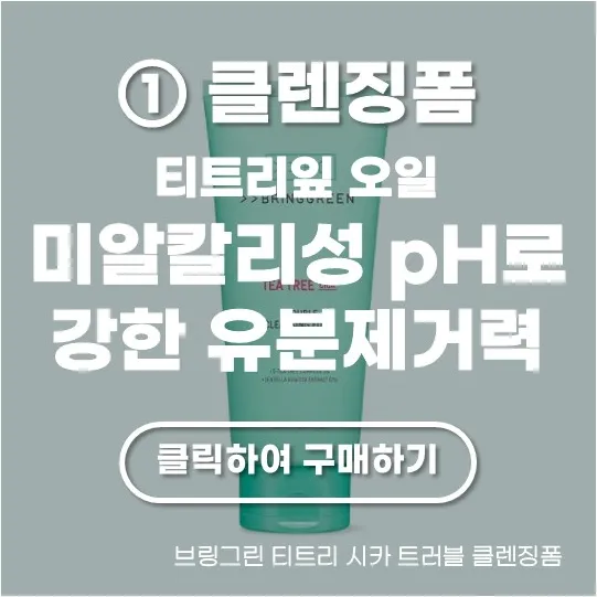 브링그린 티트리 시카 트러블 클렌징폼