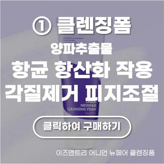 이즈앤트리 어니언 뉴페어 클렌징폼