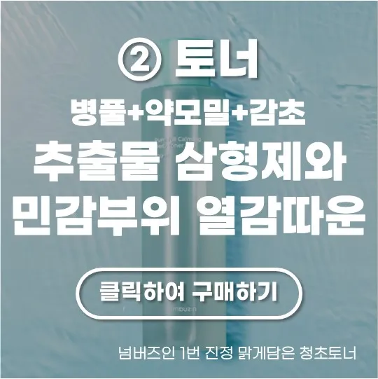 넘버즈인 1번 진정 맑게담은 청초토너