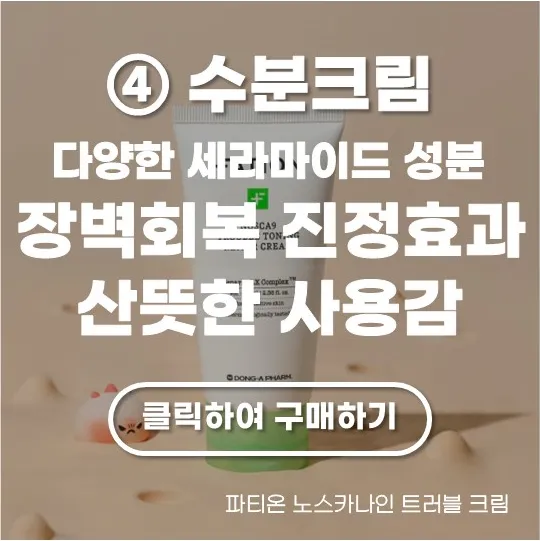 파티온 노스카나인 트러블 크림